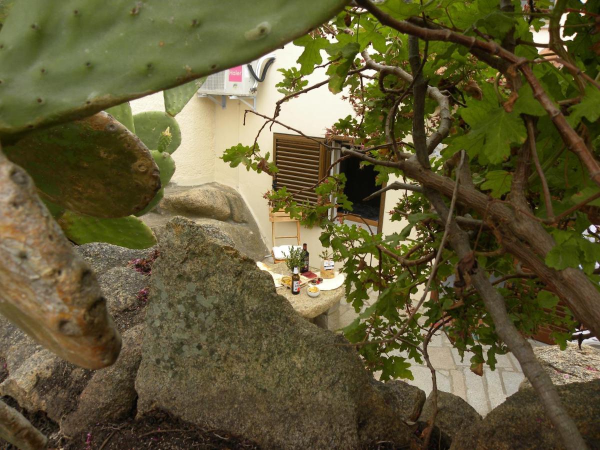 Villa Carlotta La Maddalena La Maddalena  Eksteriør billede