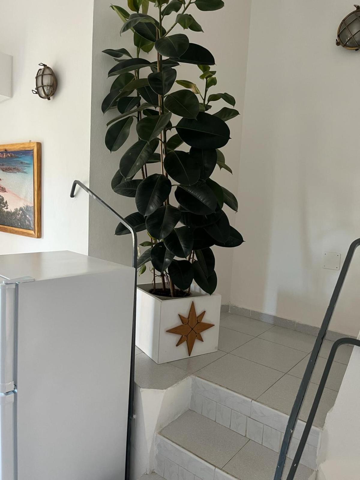Villa Carlotta La Maddalena La Maddalena  Eksteriør billede