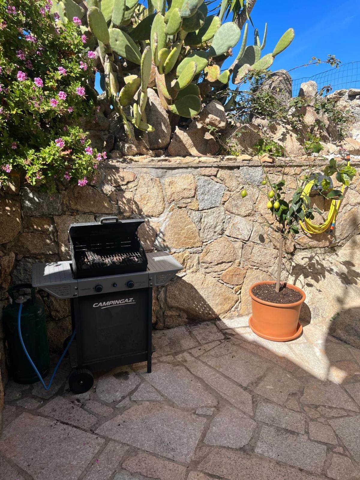 Villa Carlotta La Maddalena La Maddalena  Eksteriør billede