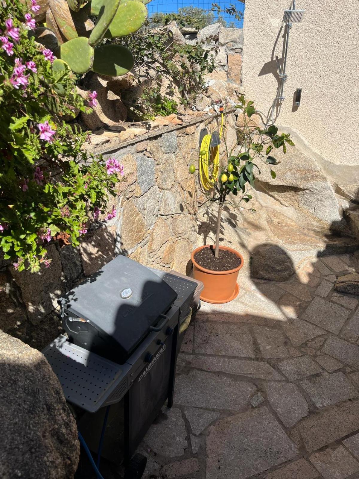 Villa Carlotta La Maddalena La Maddalena  Eksteriør billede